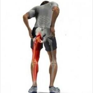 Sciatica Treatment For - Chiropractor, Tampa: Low Back Pain And Sciatica.